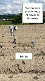 Sonde